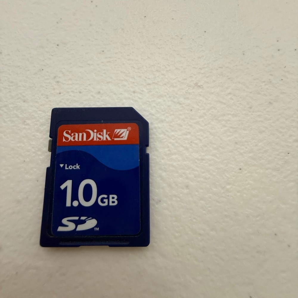 SanDisk 1.0GB SD Memory Card Blue Secure Digital Flash Storage SDSDB-1024